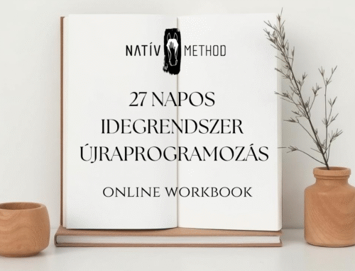 27 napos idegrendszer újraprogramozás