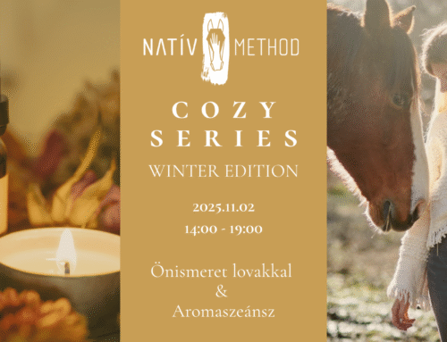 Cozy Series – No.1