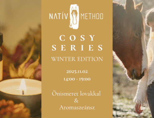 Cosy Series – No.1