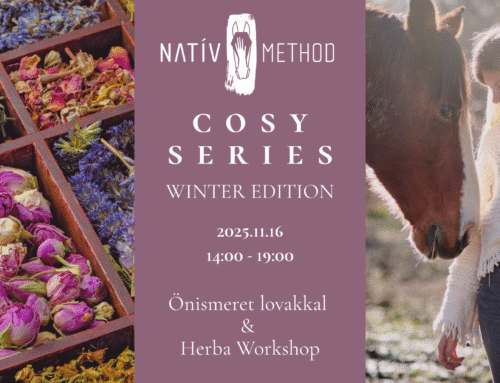 Cosy Series – No.2