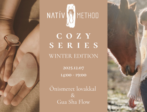 Cozy Series – No.3