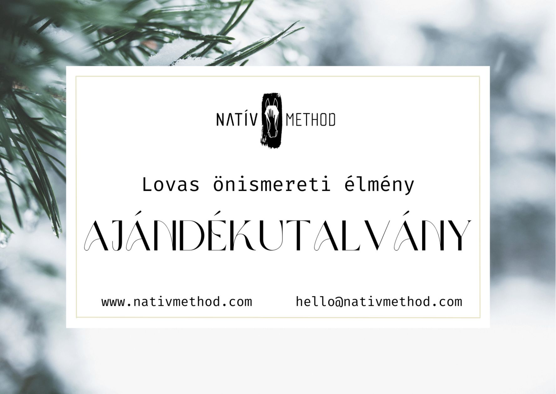 Nativ-ajandekutalvany1.2 gift voucher illustration