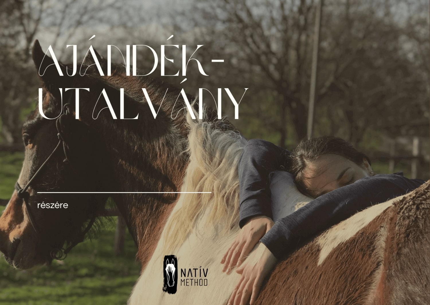 ajándékutalvány – ajándékozz élményt ajándékutalvány illusztráció