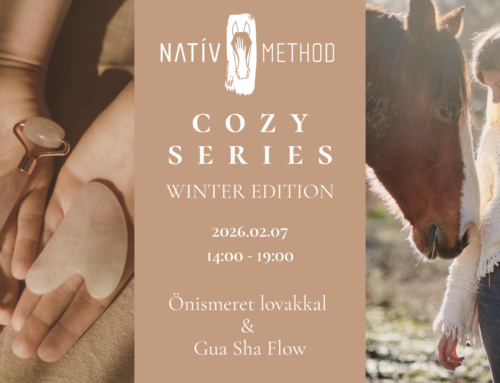 Cozy Series – No.3