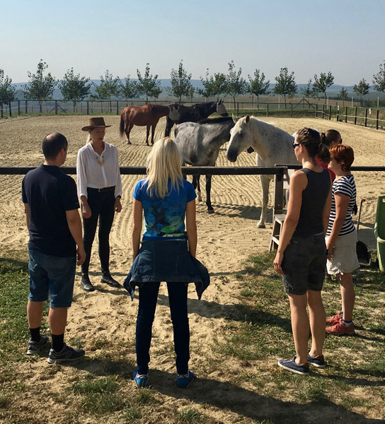 csoportos group self developement session