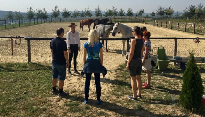 foglalkozasok4 group therapy with horses