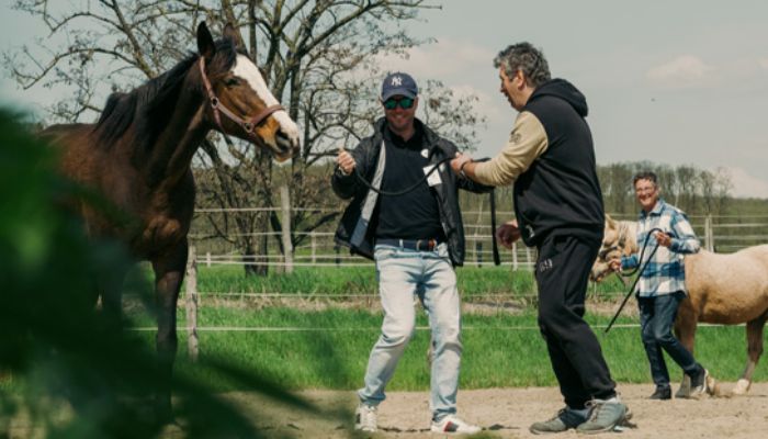 csoportos foglalkozás lóval a természetben