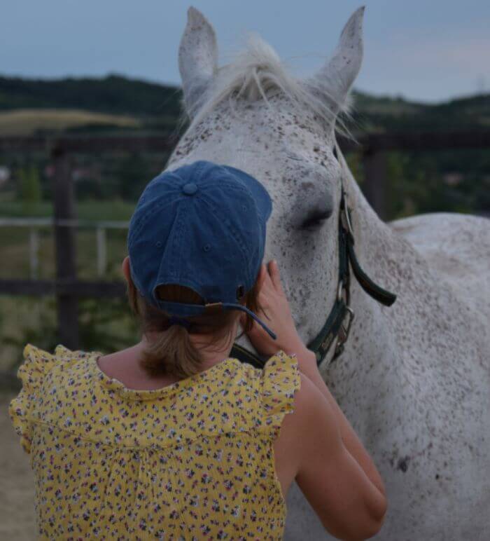 hetedik-1.2 self developement with horse