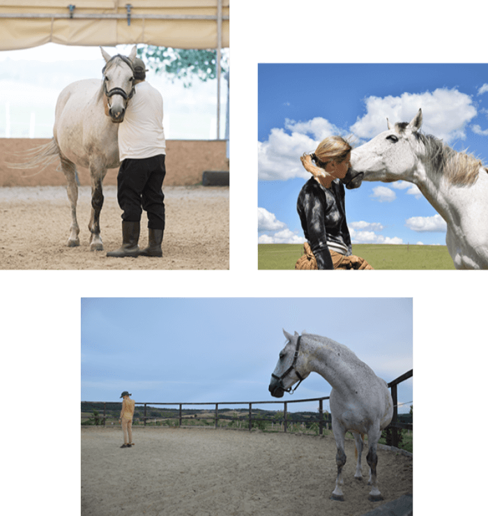 lovasm-1.1 mozaic about horses and people