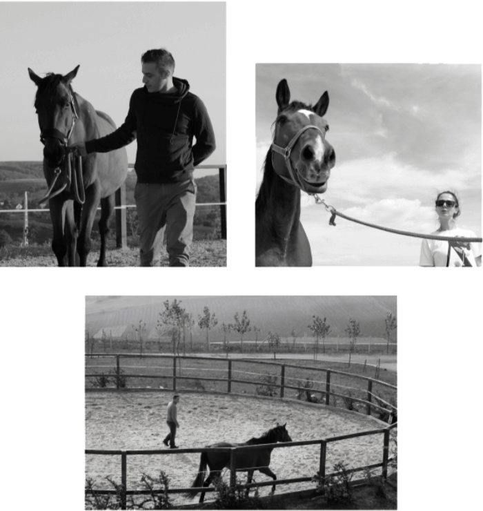 vezeto_mozaik-1.2 leadership developement with horses