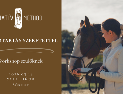 Határtartás Szeretettel – Workshop Szülőknek