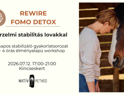REWIRE – FOMO DETOX: Érzelmi stabilitás lovakkal