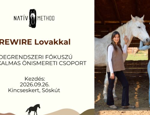 REWIRE LOVAKKAL